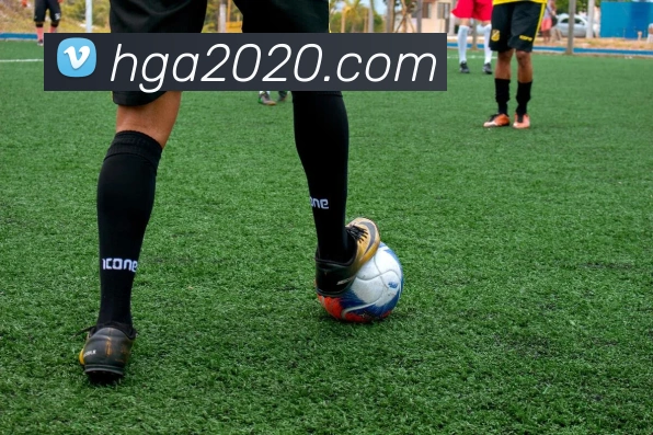 皇冠娱乐网页版官网平台生态图